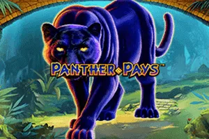 Panther Pays - KISS69