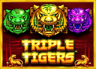 Pragmatic : Triple Tigers - KISS69