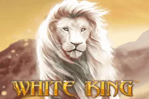 White King - KISS69