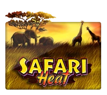 Joker123 : Safari Heat - KISS69