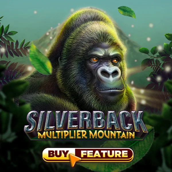 Silverback Multiplier Mountain - KISS69