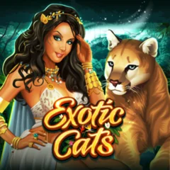Exotic Cats - KISS69