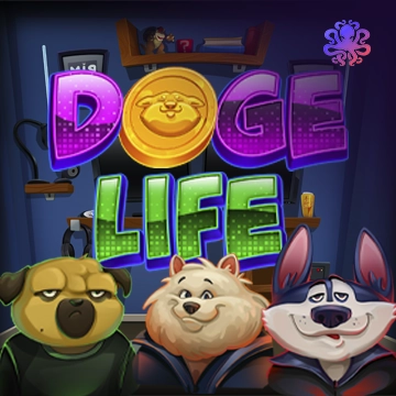 Doge Life - KISS69