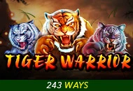 Spadegaming : Tiger Warrior - KISS69