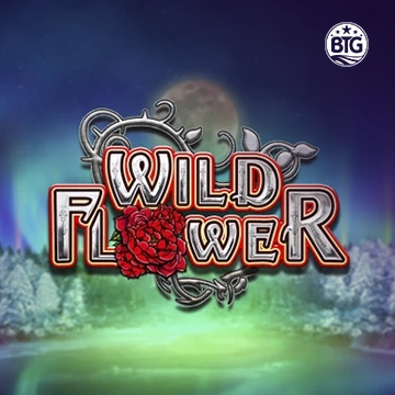 Wild Flower - KISS69