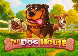 Pragmatic : The Dog House - KISS69