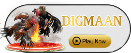Digman - KISS69
